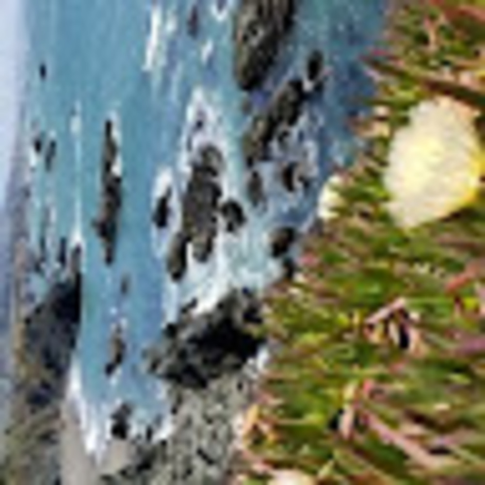 Meet your Posher, Autumn